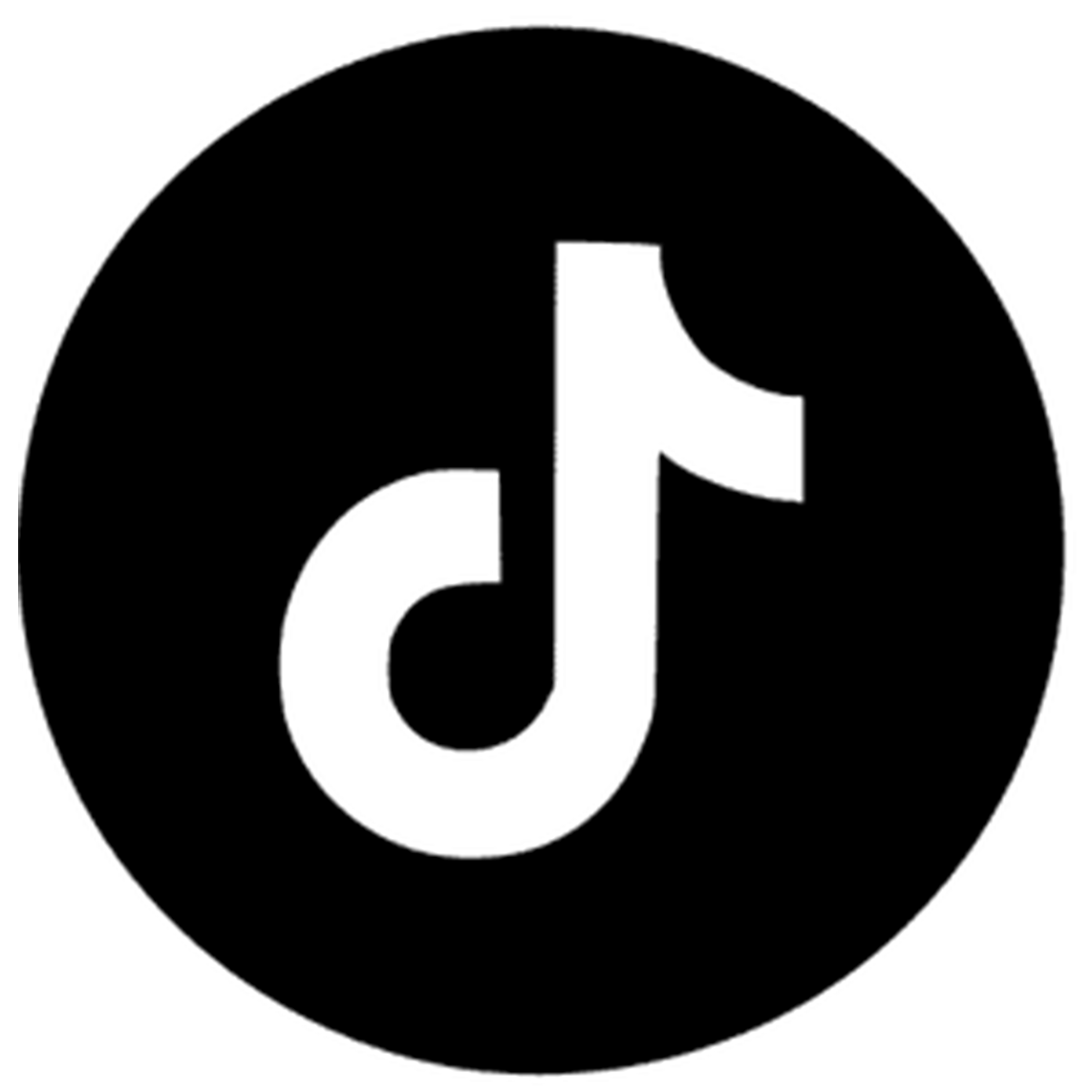 icono tiktok